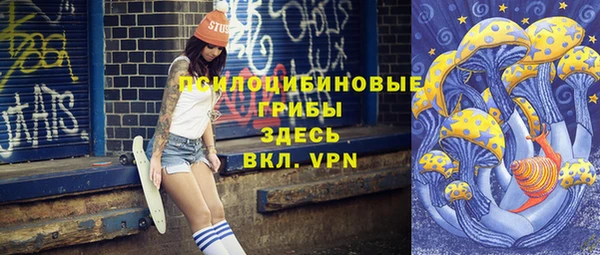ПСИЛОЦИБИНОВЫЕ ГРИБЫ Богородск