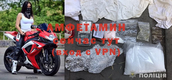 прущие грибы Богданович