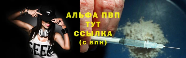 прущие грибы Богданович