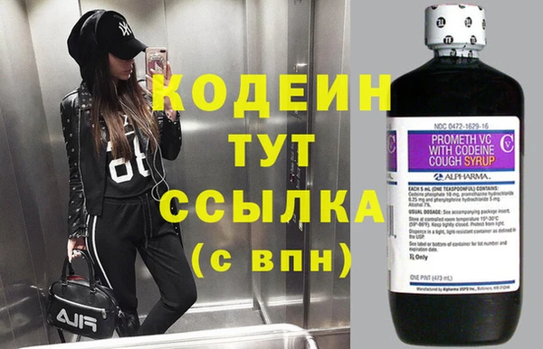 прущие грибы Богданович