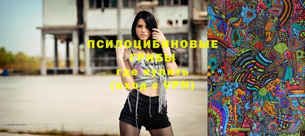 ПСИЛОЦИБИНОВЫЕ ГРИБЫ Богородск