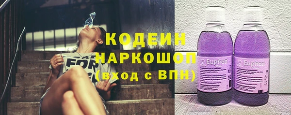 прущие грибы Богданович