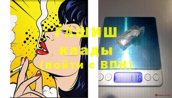 прущие грибы Богданович