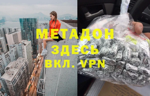 прущие грибы Богданович