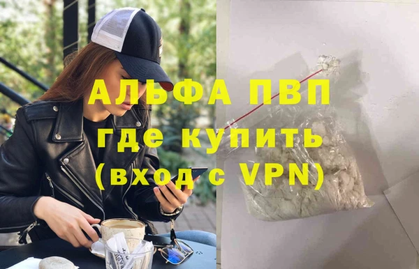 спиды Ельня
