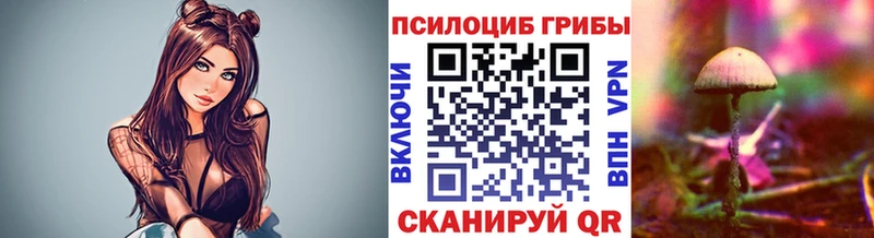закладки  Цоци-Юрт  Галлюциногенные грибы Cubensis 